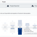 facebook insights your fans