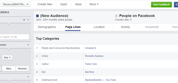 facebook audience insights