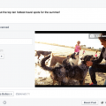 facebook nuova interfaccia caricamento video