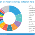 settori rappresentati instagram italia