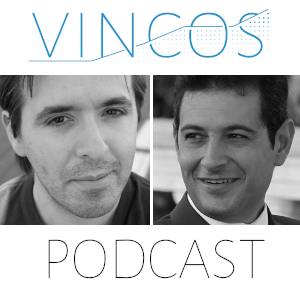 vincos podcast con gianluigi zarantonello
